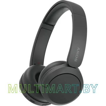 Наушники Sony WH-CH520 (черный)